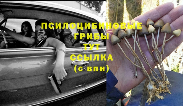 индика Осинники