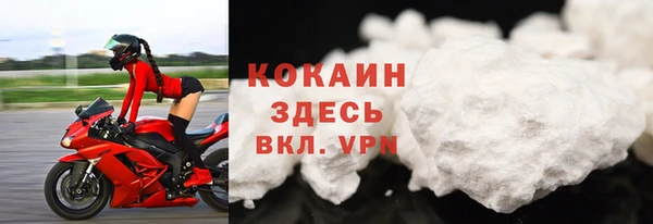твердый Осташков