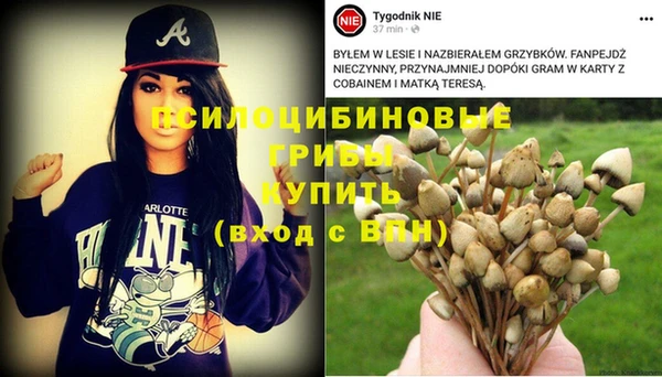 первитин Алексеевка