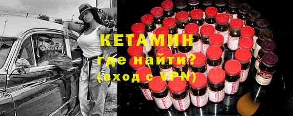 индика Осинники