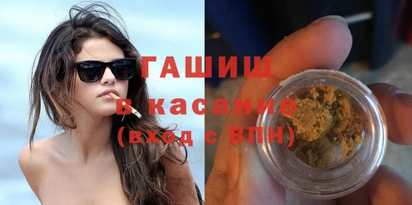 индика Осинники