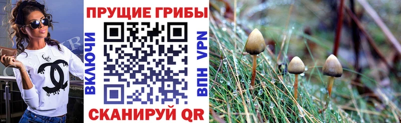 Галлюциногенные грибы мицелий Пустошка
