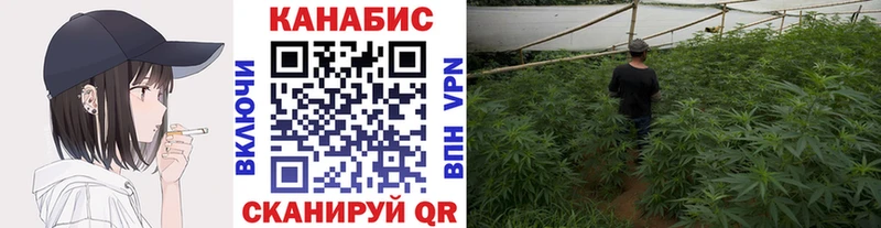 Бошки марихуана Amnesia  мориарти телеграм  Пустошка 